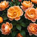 Close up of blooming flowerbeds of amazing apricot orange color flowers on dark moody floral ured Photorealistic