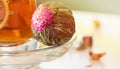 Close up blooming jasmine green tea ball with pink flower on glass saucer with turkish cup of tea. Blurred background, copy space Royalty Free Stock Photo