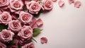 Close up of blooming pink roses flowers and petals isolated on pastel background. Empty space, top view. Generative AI Royalty Free Stock Photo