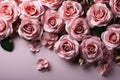 Close up of blooming pink roses flowers and petals  on pastel background. Empty space, top view. Generative AI Royalty Free Stock Photo