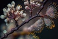 close-up of blooming tree branch, with delicate petals and shiny pollen