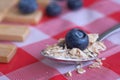 Close up of blue berry on oats on spoon