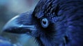 A close up of a blue bird with black feathers and eyes, AI Royalty Free Stock Photo