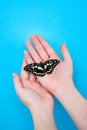 Close-up of a blue butterfly on a young girl& x27;s shoulder on a dark background. The concept fragility of nature