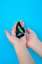 Close-up of a blue butterfly on a young girl& x27;s shoulder on a dark background. The concept fragility of nature