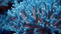 Close-up of a blue coral on a tropical coral reef. Generative AI