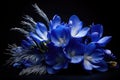 Close-up of blue crocus flowers Royalty Free Stock Photo