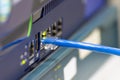 Close-up a blue ethernet cable into a network switch or router. Concept of data connection, internet technology, and IT Royalty Free Stock Photo