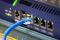 Close-up a blue ethernet cable into a network switch or router. Concept of data connection, internet technology, and IT Royalty Free Stock Photo