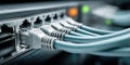 Close-up of blue ethernet cables plugged into a network switch with blinking lights Royalty Free Stock Photo