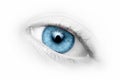Close-up blue eye Royalty Free Stock Photo