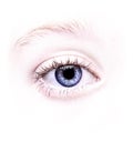 Close up of a blue eye Royalty Free Stock Photo