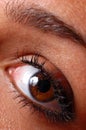 Close up of natural female eye Royalty Free Stock Photo