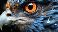 Close up of a blue feathered beak nature beauty in bird