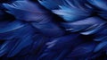 A close up of a blue feathery background with some white feathers, AI Royalty Free Stock Photo