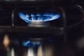 close up of the blue flames on a gas burning range or stove Royalty Free Stock Photo