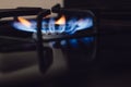 close up of the blue flames on a gas burning range or stove Royalty Free Stock Photo