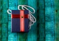 Close up of a blue gift box wrapped with red ribbon and a quartz necklace over green background. Jewellery gifts concept Royalty Free Stock Photo