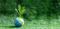 Close up of blue globe and tree on green grass on green blur nature background, earth day or world environment day concept. Green Royalty Free Stock Photo
