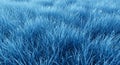 Close up blue grass field with dew drops, abstract natural background texture pattern Royalty Free Stock Photo