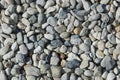 Close-up of a blue gray gravel background of a mineral mulch Royalty Free Stock Photo
