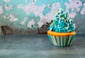 Close up blue iced cupcake with sprinkles on blue background