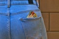 Jeans back pocket with cash Royalty Free Stock Photo