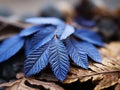 a close up of a blue leaf on top of a pile of brown leaves