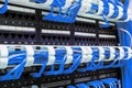 Close up of blue network cables connected to patch panel Royalty Free Stock Photo