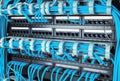 Close up of blue network internet cables connected to router Royalty Free Stock Photo