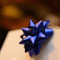 Close up of a blue present cockade.