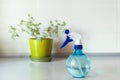 Close up of Blue round spray bottle and green flower on background. Royalty Free Stock Photo