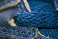 Close up of a blue shoeslace Royalty Free Stock Photo
