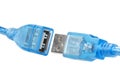 Close up of blue usb plug cable