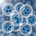 Close up of blue and white biological cells with internal structures blue cells white cells Royalty Free Stock Photo