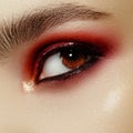 Close up of blue woman eye with beautiful brown with shades smokey eyes makeup. Modern fashion make up. Nude Royalty Free Stock Photo