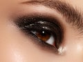 Close up of blue woman eye with beautiful brown with shades smokey eyes makeup. Modern fashion make up. Nude Royalty Free Stock Photo