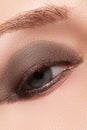 Close-up of blue woman eye with beautiful smoky make-up. Cosmetics & makeup Royalty Free Stock Photo