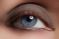 Close-up of blue woman eye with beautiful smoky make-up. Cosmetics & makeup Royalty Free Stock Photo