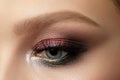 Close up of blue woman eye with smokey eyes makeup Royalty Free Stock Photo
