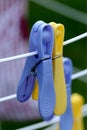 Close up of blue and yellow clothes pegs Royalty Free Stock Photo