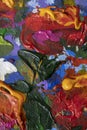 Oil painting close-up abstract background flower Royalty Free Stock Photo