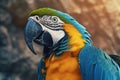 Close up of Blue and yellow Macaw. Generate Ai Royalty Free Stock Photo