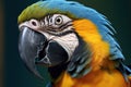 Close up of Blue and yellow Macaw. Generate Ai Royalty Free Stock Photo