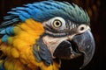 Close up of Blue and yellow Macaw. Generate Ai Royalty Free Stock Photo