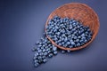 A close-up of blueberries. A basket of juicy blueberries on a dark blue background. Tasty and sweet blueberries. Copy space. Royalty Free Stock Photo