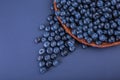 A close-up of blueberries. A basket of juicy blueberries on a dark blue background. Tasty and sweet blueberries. Copy space. Royalty Free Stock Photo