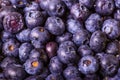 Close up of blueberries