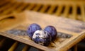 close-up of blueberry, black berries covered with gray, white fluffy mold, concept mold fungi on surface products, spore