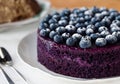 Close up of blueberry cake